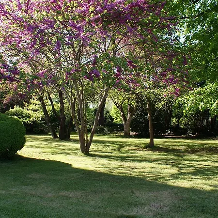 Chateau De Grenier Saint-Léger