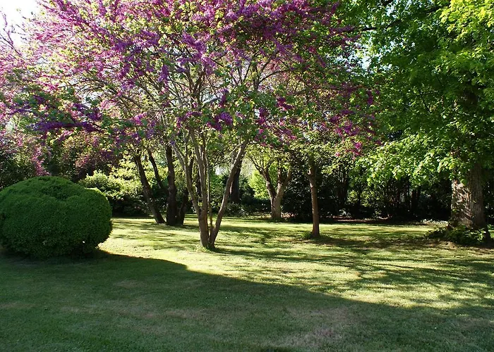 Chateau De Grenier Saint-Léger